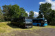 Partybus logo