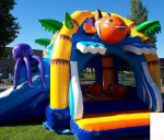 Springkussen overdekt