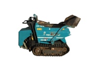 Rupsdumper