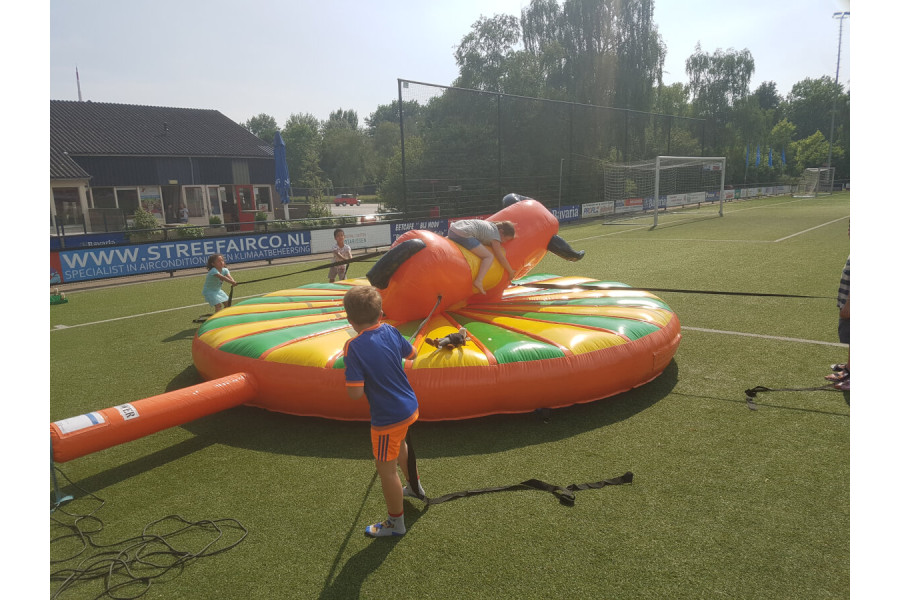 Kinderrodeo Stier - Plezier en Spel - 1