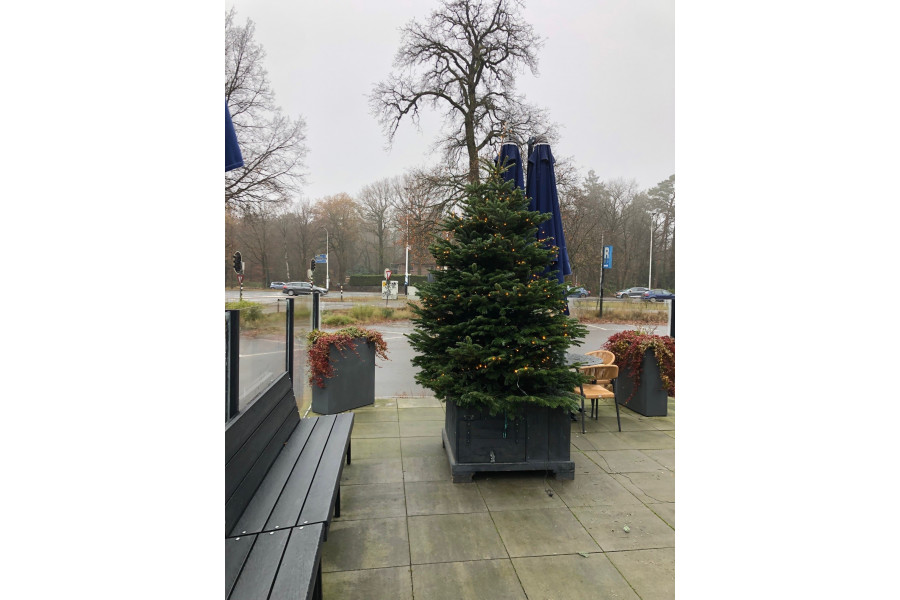 Kerstboom van 2 - 10 meter met / zonder verliching - Kupo Verhuur - 5
