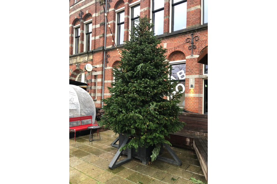 Kerstboom van 2 - 10 meter met / zonder verliching - Kupo Verhuur - 2