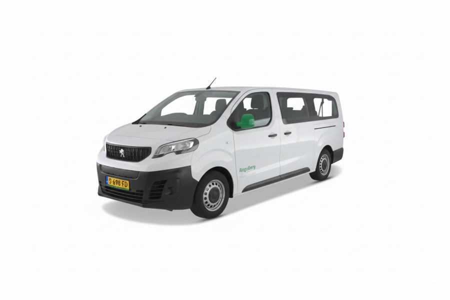 9 persoonsbus (elektrisch) - Ringelberg autoverhuur - 1