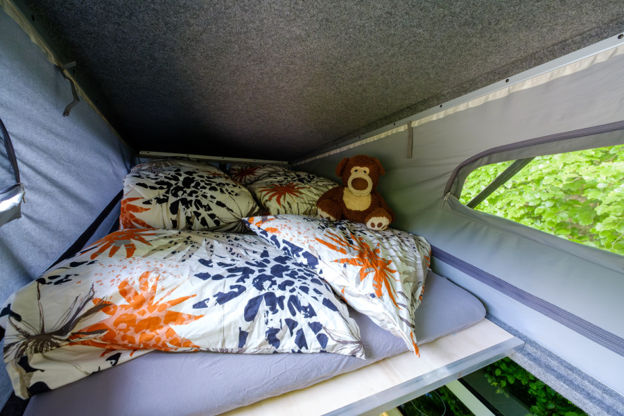 Elektrische camper - EV Camper - 11