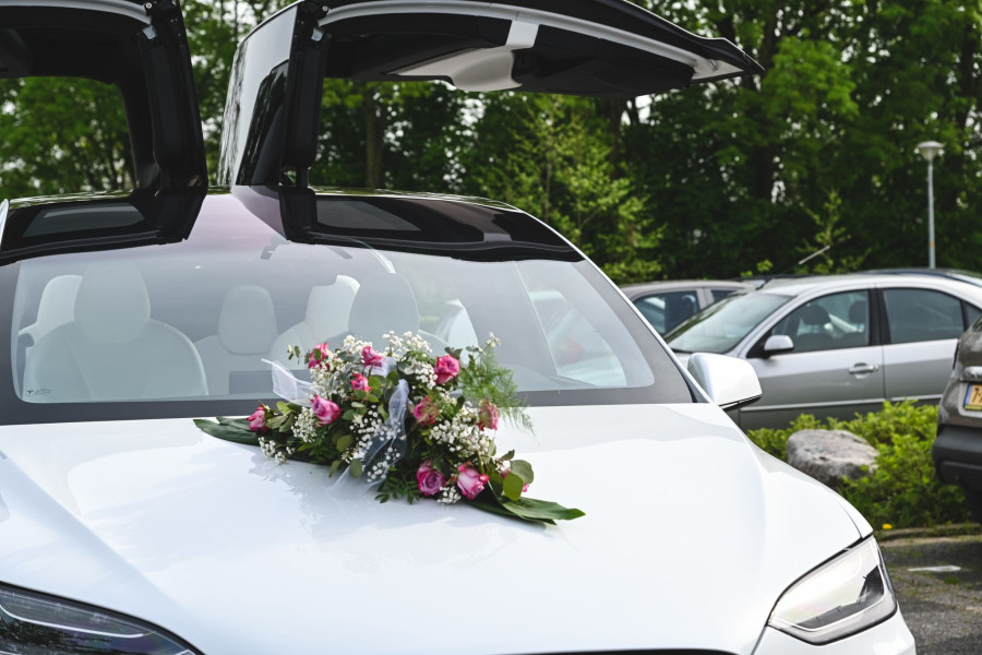 Tesla Model X - Drive The Passion - 2