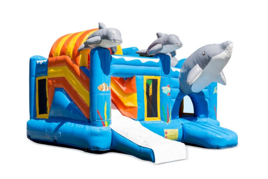 Springkussen Multiplay Dolfijn - Have Fun Events - 1