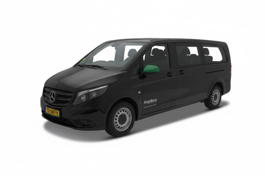 Luxe 9 persoonsbus - Ringelberg autoverhuur - 1