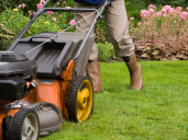 Tuinieren - Huren.nl - 1