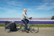 Hondenfietskar - Huren.nl - 4