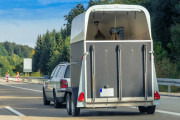 Paardentrailer - Huren.nl - 2