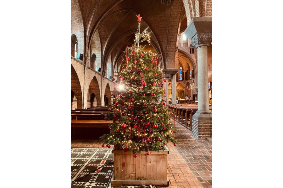 Kerstboom van 2 - 10 meter met / zonder verliching - Kupo Verhuur - 4