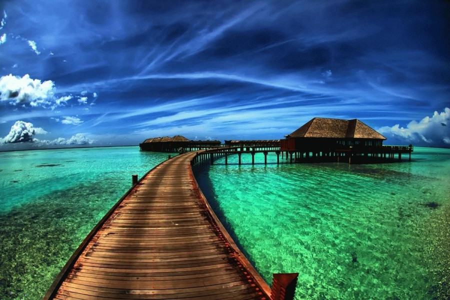 Alpaca - iremverhuur test - 6